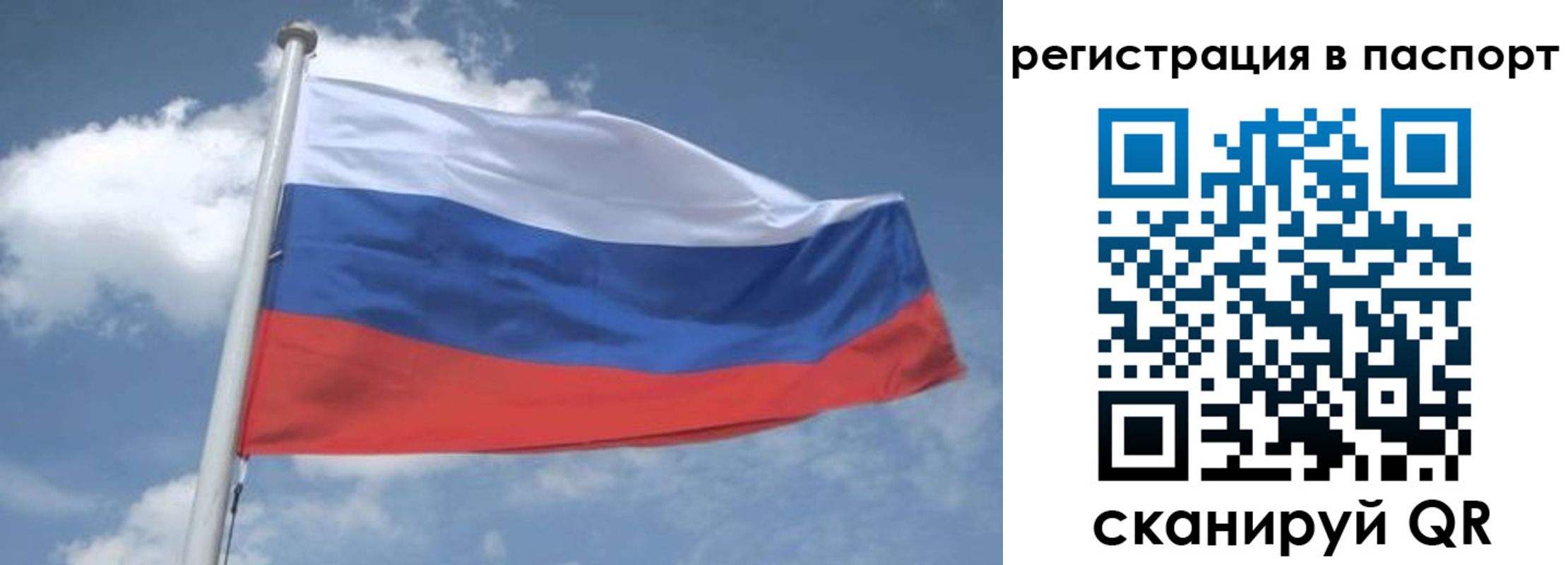 временная регистрация надежно в Покрове
